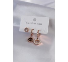 316L Çelik Rose Renk Daire Model Zirkon Taş Detay Kadın Küpe Kombini - TJ-BKP7073