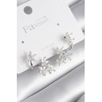 Pirinç Gümüş Renk Zirkon Taşlı Çiçek Tasarım Kadın Küpe TJ-BKP8606