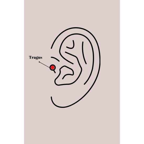 316L Çelik Gümüş Renk Zirkon Taşlı Kalp Model Tragus Piercing - TJ-PR1347