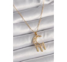 316L Çelik Gold Renk Zincir Zirkon Taşlı Hilal Model Sallantı Yaprak Detay Kadın Kolye TJ-BKO9650