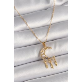 316L Çelik Gold Renk Zincir Zirkon Taşlı Hilal Model Sallantı Yaprak Detay Kadın Kolye TJ-BKO9650