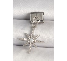 316L Çelik Gümüş Renk Zirkon Taşlı İnci Detay Yıldız Model Nomination Charm - TJ-BC1281