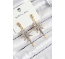 316L Çelik Zirkon Taşlı Pusula Yıldızı Model Gold Ve Gümüş Renk Kadın Küpe - TJ-BKP10934