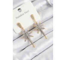 316L Çelik Zirkon Taşlı Pusula Yıldızı Model Gold Ve Gümüş Renk Kadın Küpe - TJ-BKP10934