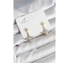 Kutup Yıldızı Pirinç Gold Renk Zirkon Taşlı Kadın Küpe - TJ-BKP11303