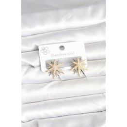 Pirinç Gümüş Renk Kutup Yıldızı Kadın Küpe TJ-BKP11392