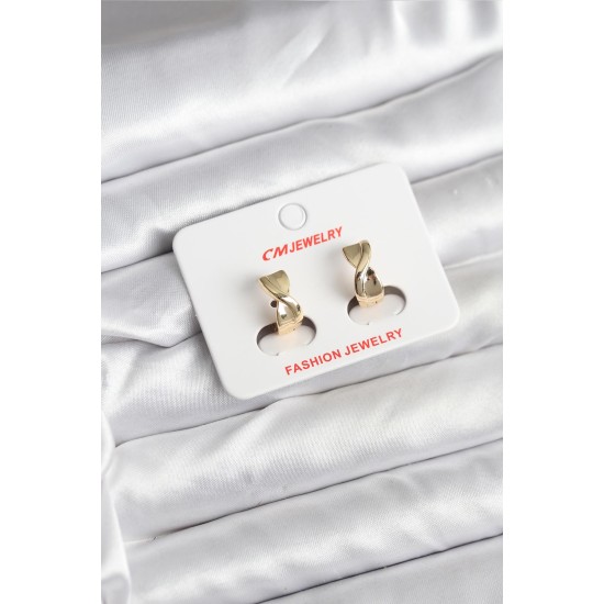 14K Gold Renk Kaplama CM Kadın Küpe - TJ-BKP11400