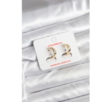 14K Gold Renk Kaplama CM Kadın Küpe - TJ-BKP11401