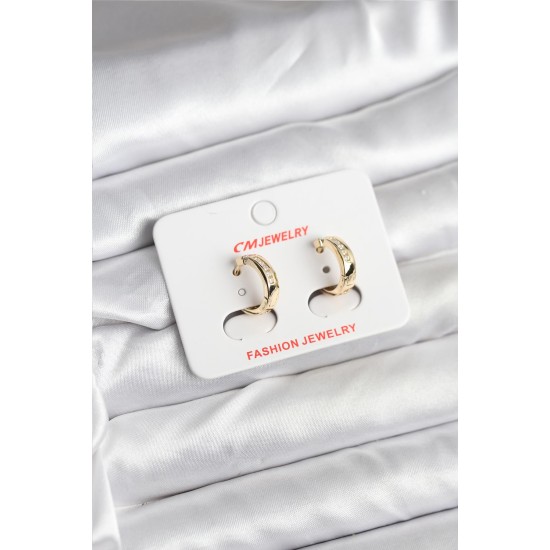 14K Gold Renk Kaplama CM Kadın Küpe - TJ-BKP11401