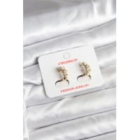 14K Gold Renk Kaplama CM Kadın Küpe TJ-BKP11403