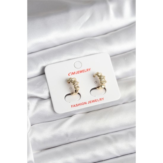 14K Gold Renk Kaplama CM Kadın Küpe - TJ-BKP11403