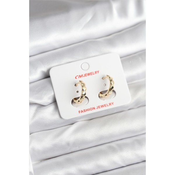 14K Gold Renk Kaplama CM Kadın Küpe - TJ-BKP11404
