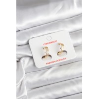 14K Gold Renk Kaplama CM Kadın Küpe TJ-BKP11405