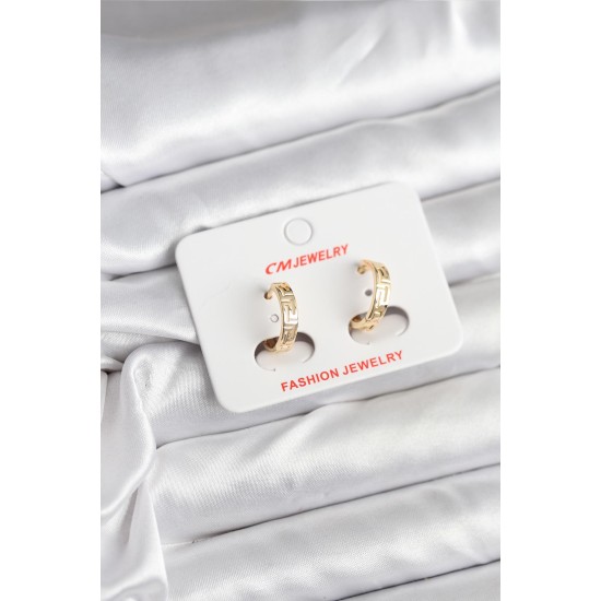 14K Gold Renk Kaplama CM Kadın Küpe - TJ-BKP11405