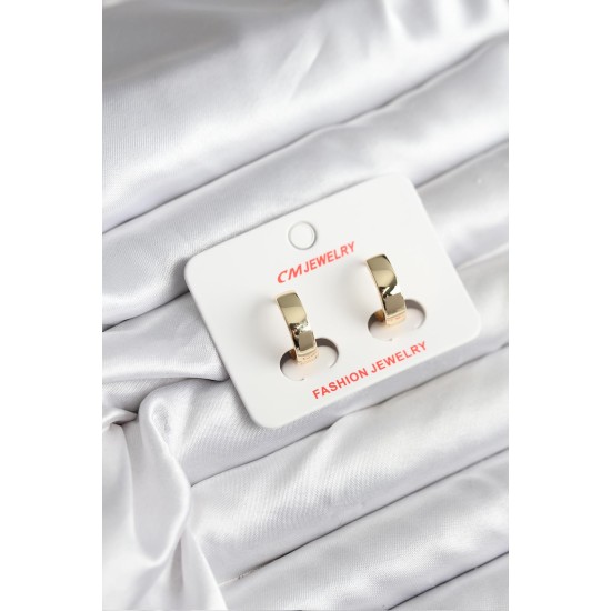 14K Gold Renk Kaplama CM Kadın Küpe - TJ-BKP11408