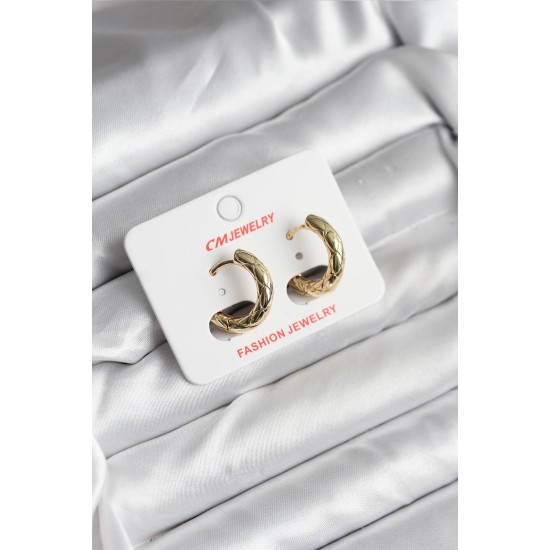 14K Gold Renk Kaplama CM Kadın Küpe - TJ-BKP11411