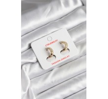 14K Gold Renk Kaplama CM Kadın Küpe - TJ-BKP11412