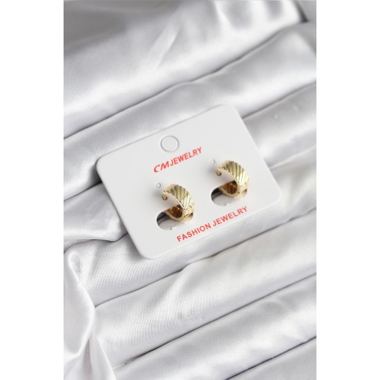 14K Gold Renk Kaplama CM Kadın Küpe - TJ-BKP11413