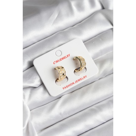 14K Gold Renk Kaplama CM Kadın Küpe - TJ-BKP11414