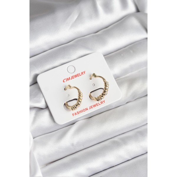 14K Gold Renk Kaplama CM Kadın Küpe - TJ-BKP11415