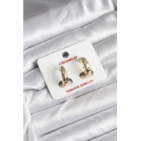 14K Gold Renk Kaplama CM Kadın Küpe TJ-BKP11420