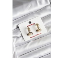 14K Gold Renk Kaplama CM Kadın Küpe - TJ-BKP11420