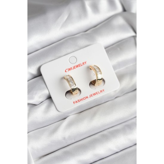 14K Gold Renk Kaplama CM Kadın Küpe - TJ-BKP11421