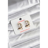 14K Gold Renk Kaplama CM Kadın Küpe TJ-BKP11422