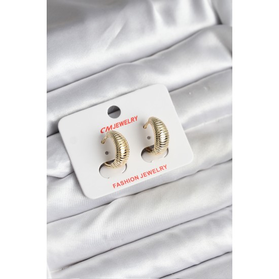 14K Gold Renk Kaplama CM Kadın Küpe - TJ-BKP11429