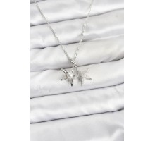 316L Çelik Zincir Gümüş Renk Deniz Yıldızı Model Zirkon Taşlı Kadın Kolye - TJ-BKO10906