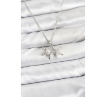 316L Çelik Zincir Gümüş Renk Deniz Yıldızı Model Zirkon Taşlı Kadın Kolye - TJ-BKO10906