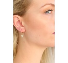 P Harf Bayan Küpe - TJ-BKP4855-KS