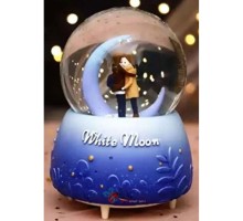 Kar Küresi Orta Boy WY20K08