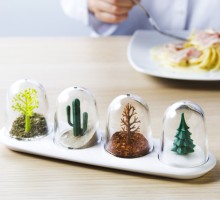 Seasoning Shakers Dört Mevsim Baharatlık