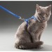 toptan-xml-dropshipping-Kedi Boyun & Göğüs Tasması