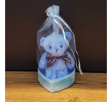 Doğum Günü Hediyesi Kese İçinde Ayıcık