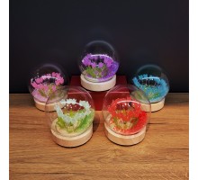 Led Işıklı Lale Cam Fanus 1 Adet