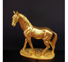 Gold Renk At Biblosu