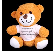 Öğretmenler Günü Hediyesi Peluş Ayıcık