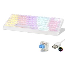 Mekanik Gaming Klavye 104 Tuş Blue Switch Rgb - Beyaz G500XW
