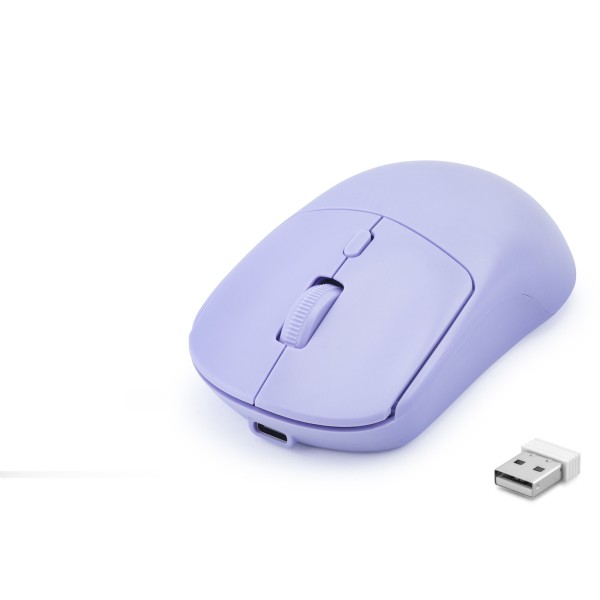 Dual Mode Şarjlı Kablosuz Mouse 2.4 Ghz Bluetooth 5.0 4000 Dpı Lila HDX3415L