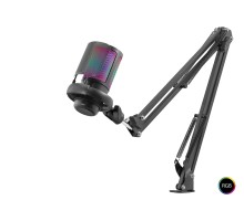 Gaming Rgb Mikrofon Seti Ayarlı Masa Kolu Type-C 192Khz 24Bit - Siyah ME6S35B