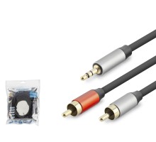 3.5 Mm To 2 Rca Ses Kablosu 10 M - Siyah HDX1076