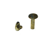 Cilt Menü, Katalog, Kartela Vidası, 13mm - Sarı, 100 Adet