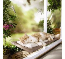 Kedi Pencere Yatağı
