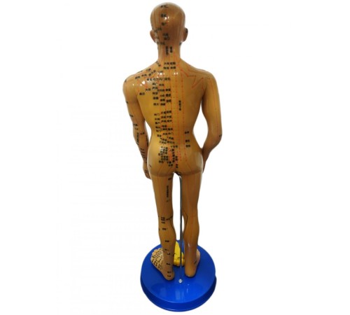 toptan-xml-dropshipping-Akupunktur İnsan Modeli Tam Boy 50 CM