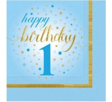 1 Yaş Erkek Peçete Mavi Renk 20 Adet