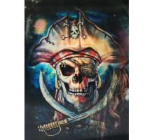 5D Elmas Boyama 3 Farklı Resim Değişenli Korsan Tablosu 30x40 cm