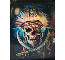 5D Elmas Boyama 3 Farklı Resim Değişenli Korsan Tablosu 30x40 cm