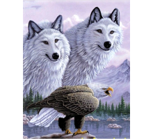 5D Elmas Boyama Kartallı Kurt Resmi Tablosu 40x60 cm